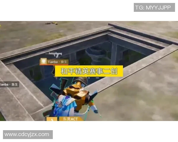 和平精英焦点分析：深入探讨FPX战队的实力与战术优势